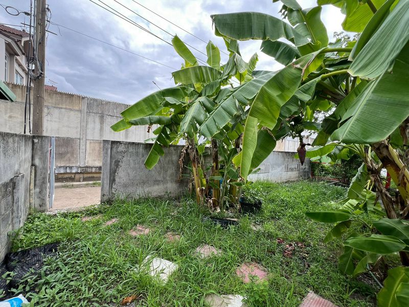 ✅Prime Land for Rent ✅Excellent Business Opportunity 🔥on Rajawinit Bangkaew Road